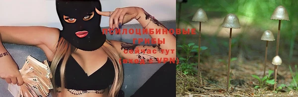 дистиллят марихуана Заводоуковск