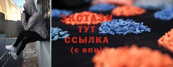 гашик Ельня