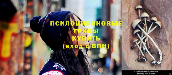 прущие крисы Мегион